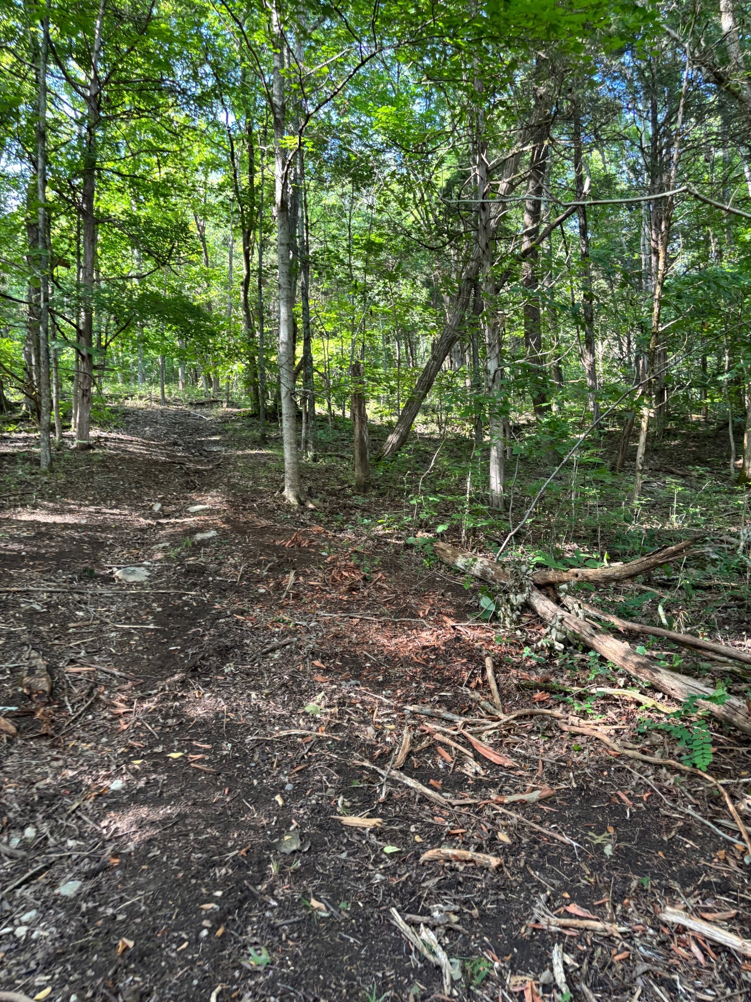2517 Patton Hollow Road Watertown, TN 37184 - Photo 20 of 29