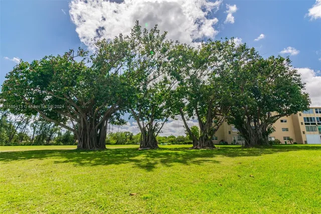 a view of a backyard with large trees