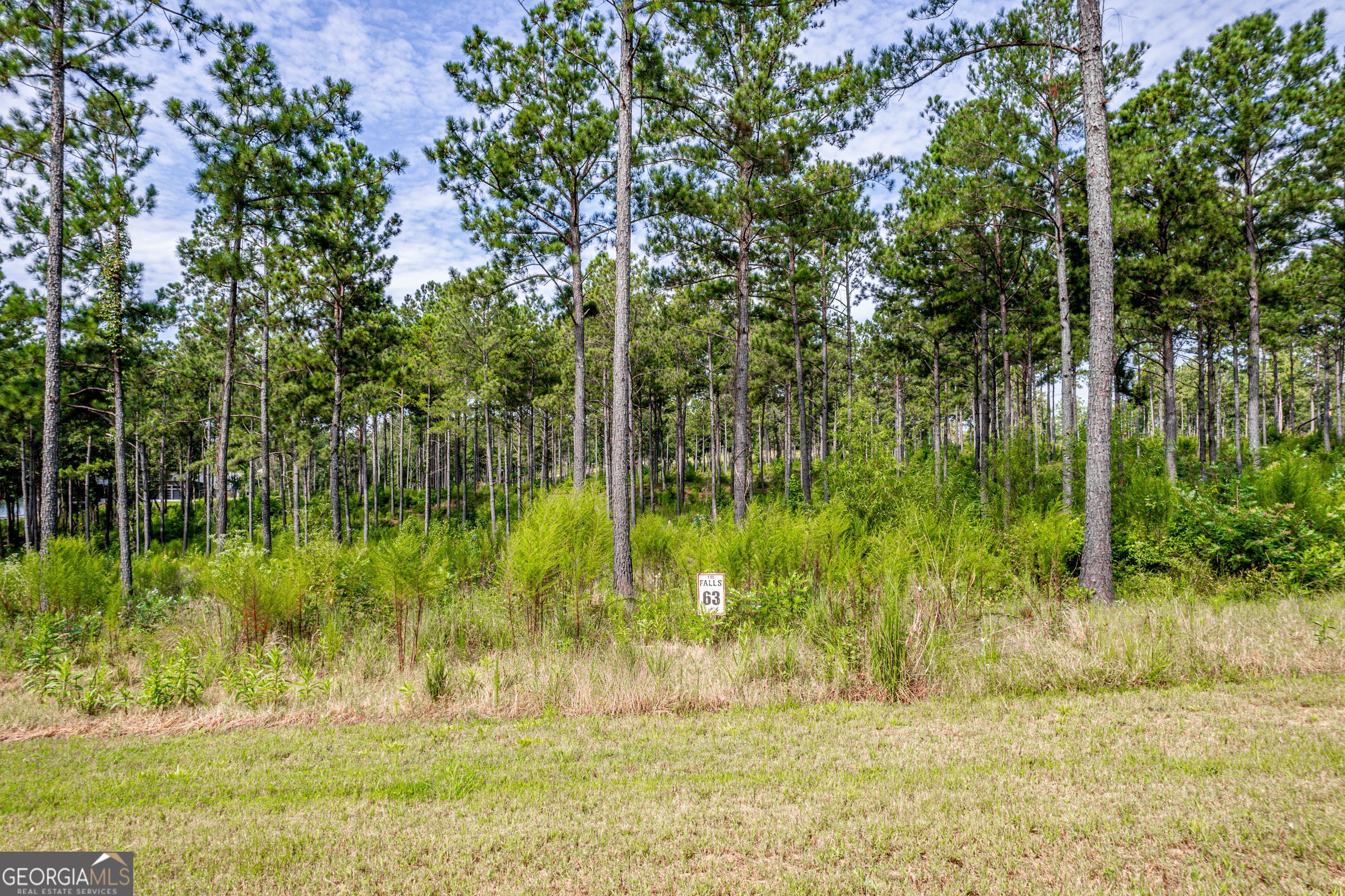 302 Wind Rock Ridge Northeast Milledgeville, GA 31061 - Photo 2 of 11 a view of yard with green space