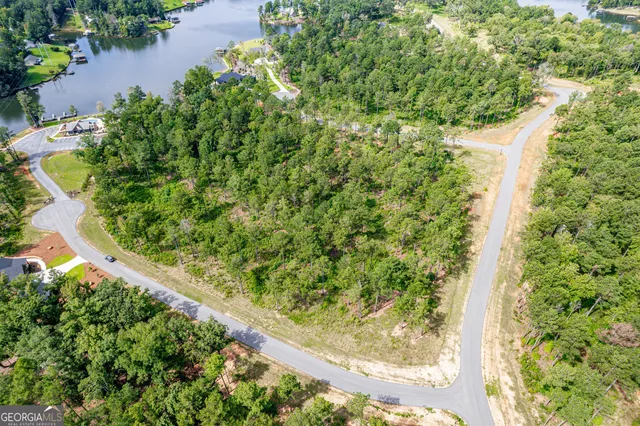 a view of a garden with a tree