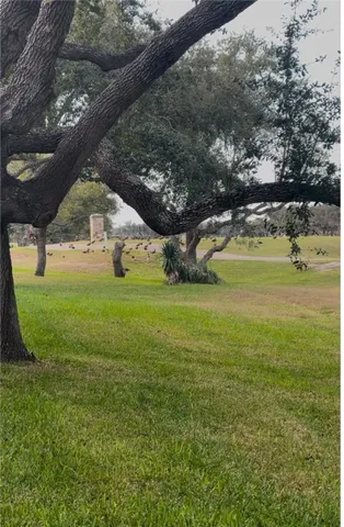 a view of a golf ground with huge green field and large trees