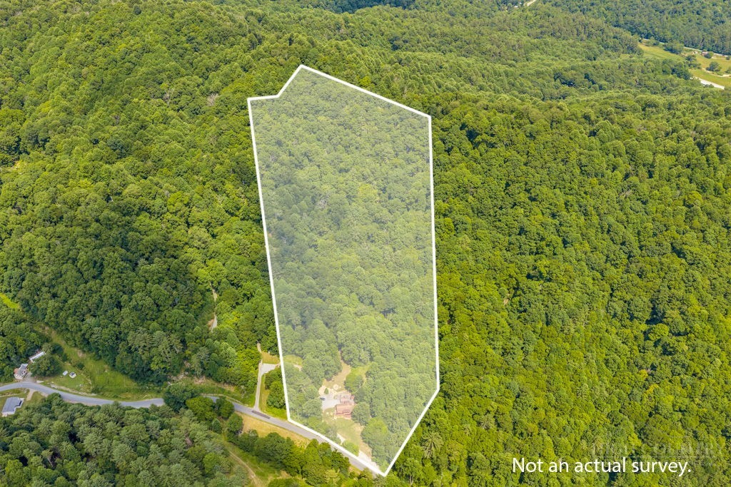 488 Wards Branch Road Sugar Grove, NC 28679 - Photo 2 of 27