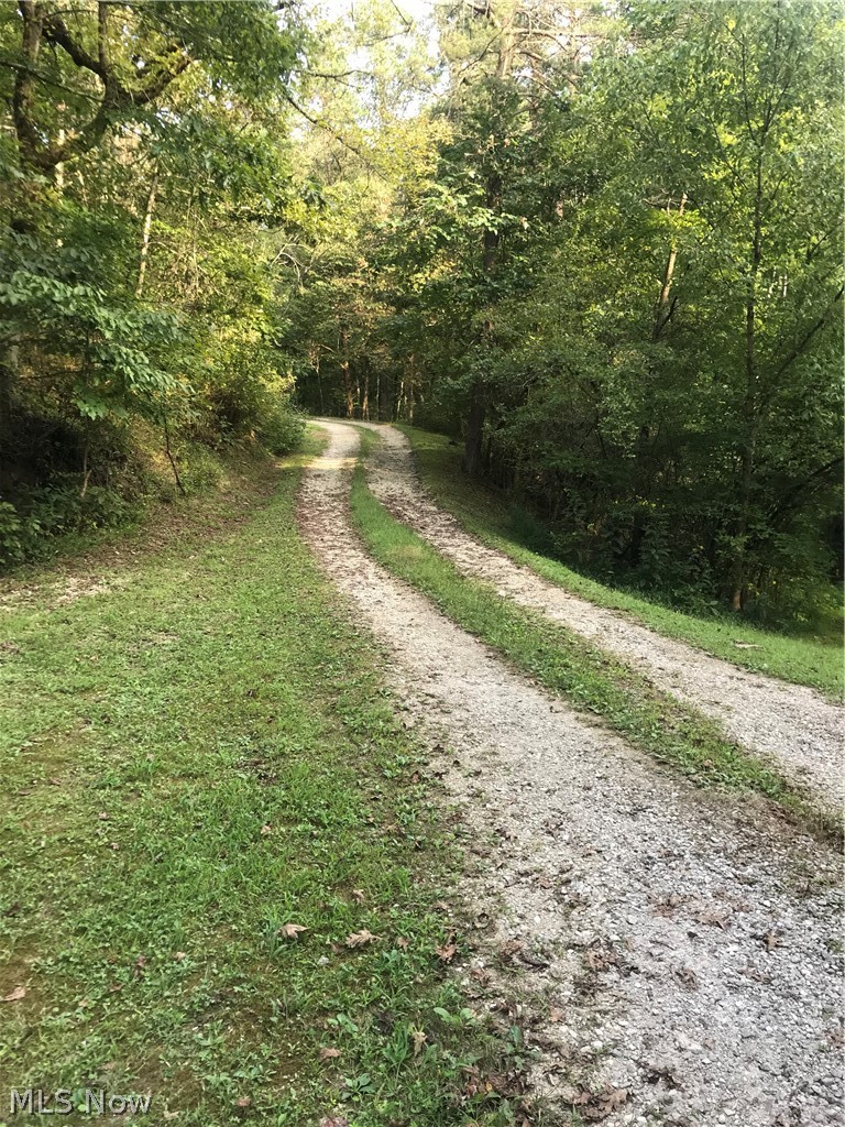 270 Silverton Road Ravenswood, WV 26164 - Photo 27 of 27
