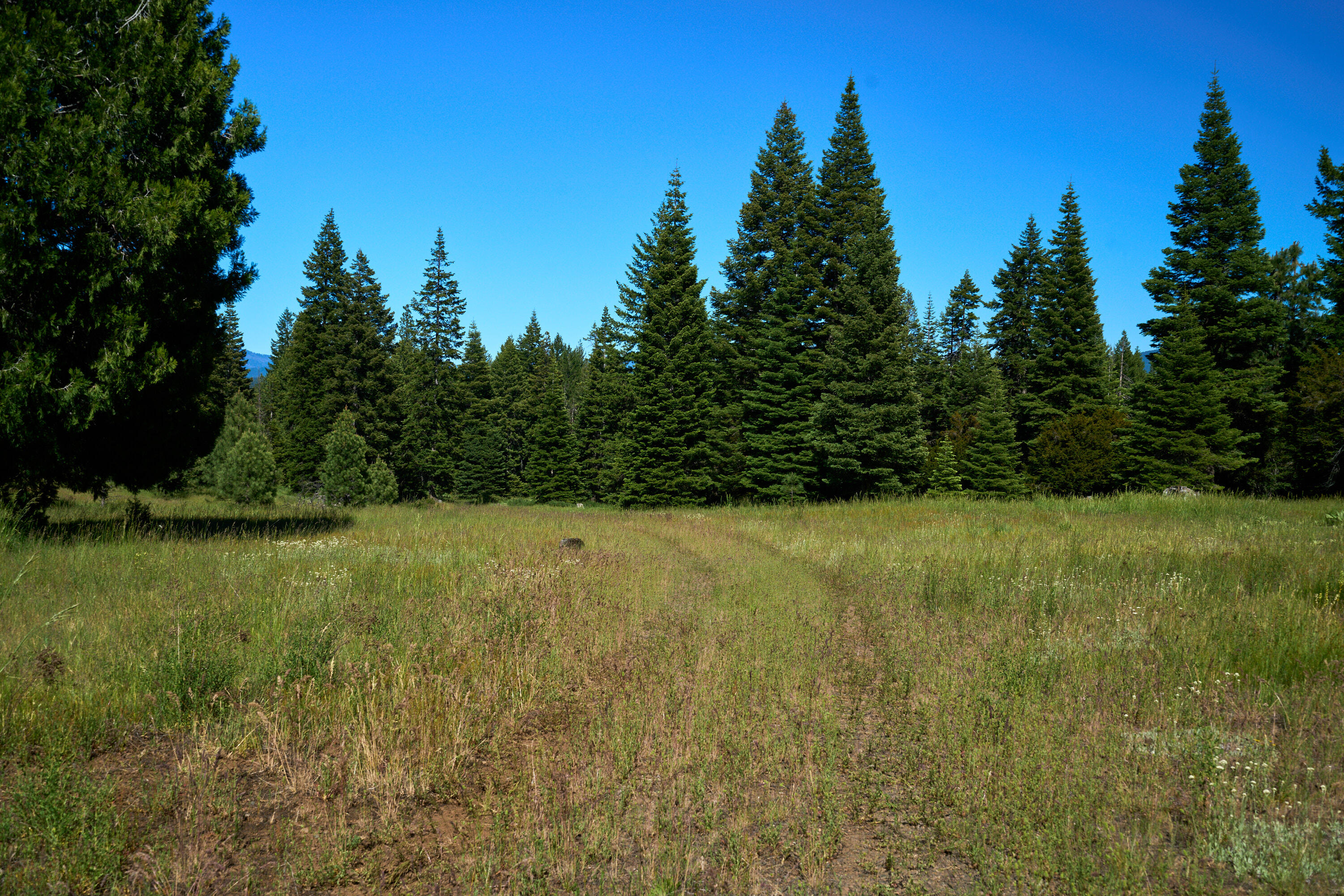1160 Hyatt Prairie Road Ashland, OR 97520 - Photo 4 of 15 Hyatt Prairie Road_04