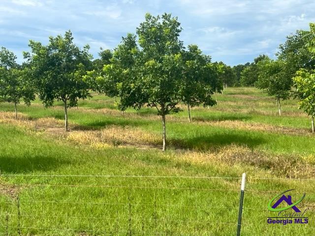 Henderson Springs Road Elko, GA 31025 - Photo 7 of 24