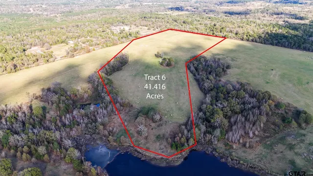 a view of a swimming pool and an ocean