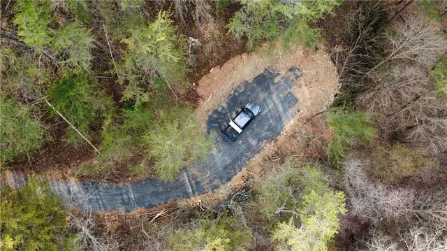 a view of a yard with plants and large trees