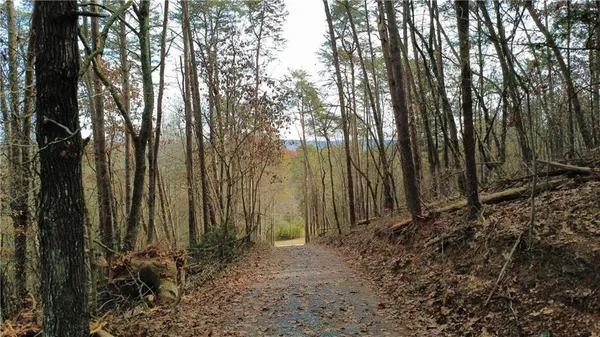 a view of a backyard of the house