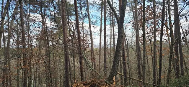 a view of outdoor space with wooden fence