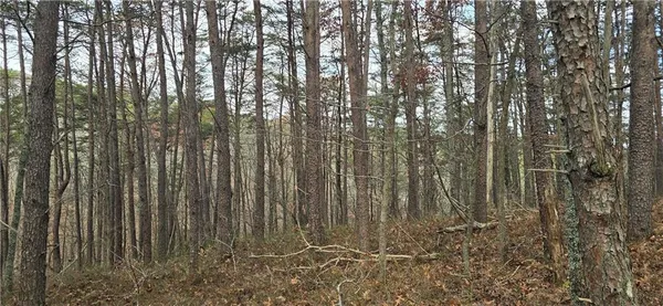 a view of a backyard of the house
