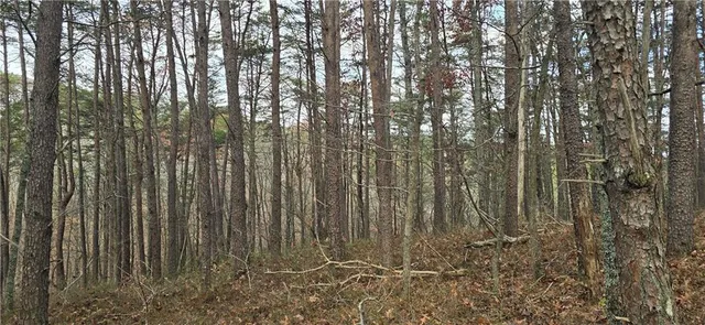 a view of a backyard of the house