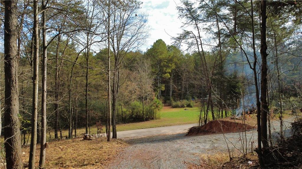 30 Deerfield Estates Fairmount, GA 30139 - Photo 10 of 13 a view of a park