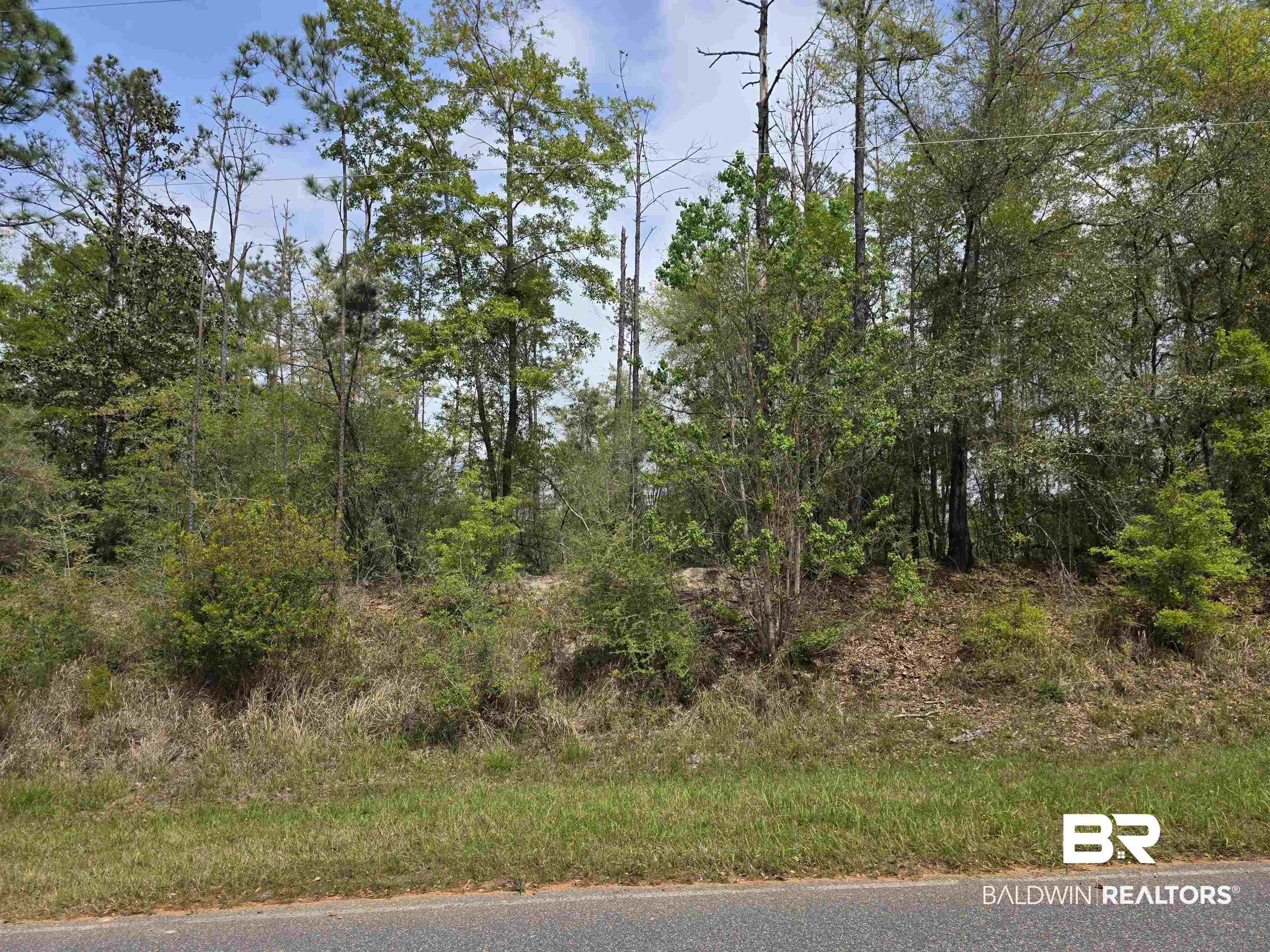 12287 Red Hill Rd Extension Bay Minette, AL 36507 - Photo 4 of 10 View of asphalt road