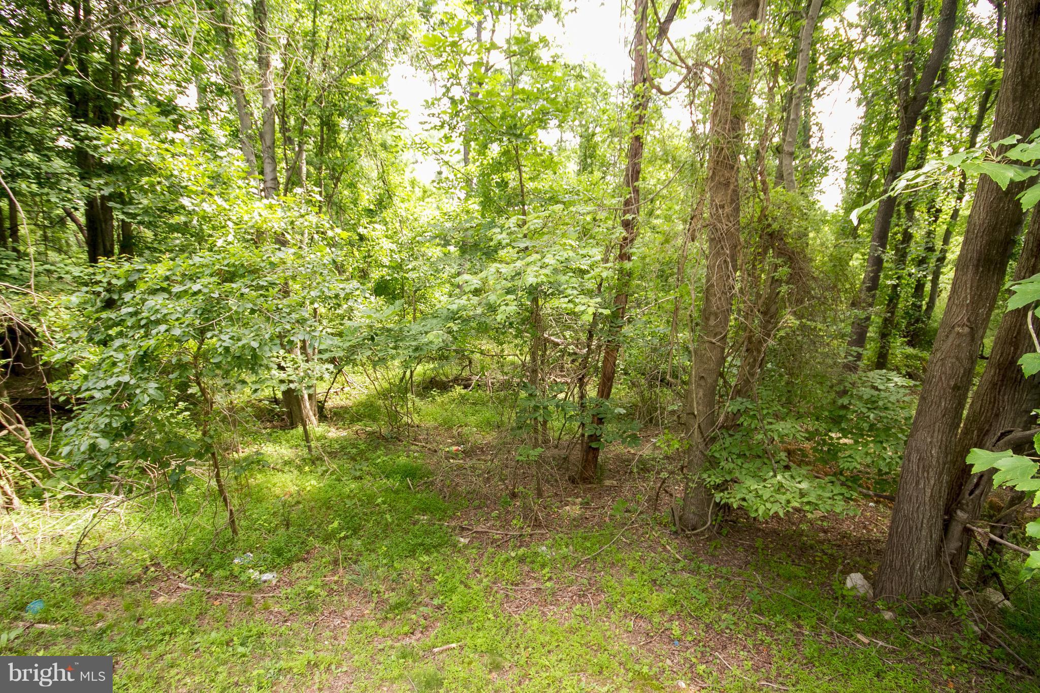 10900 Baskerville Road Reisterstown, MD 21136 - Photo 27 of 29 View