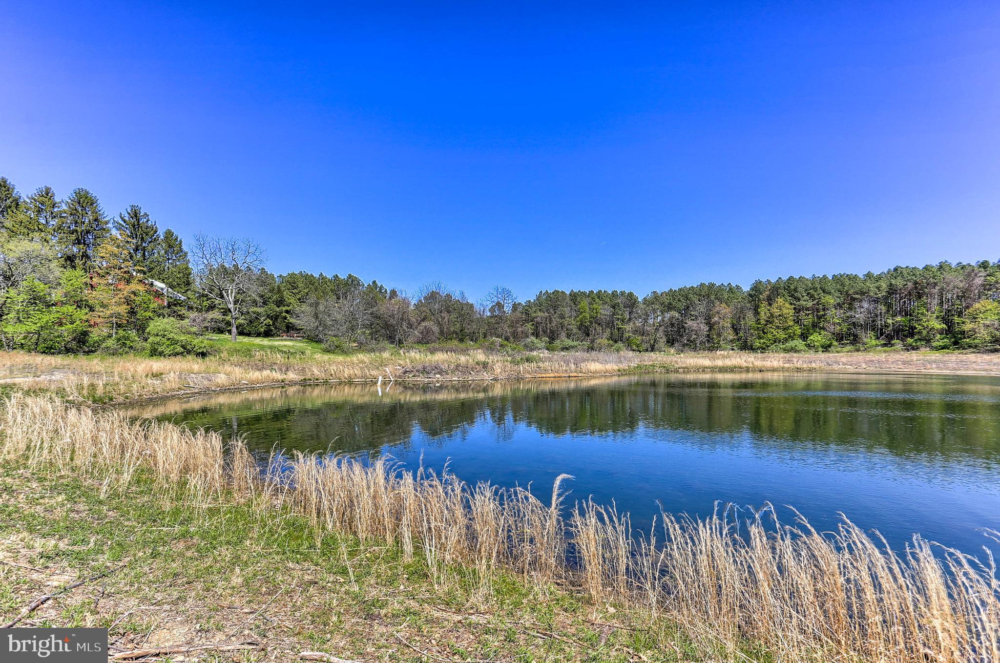 1340 Lake Road Spring Grove, PA 17362 - Photo 2 of 18