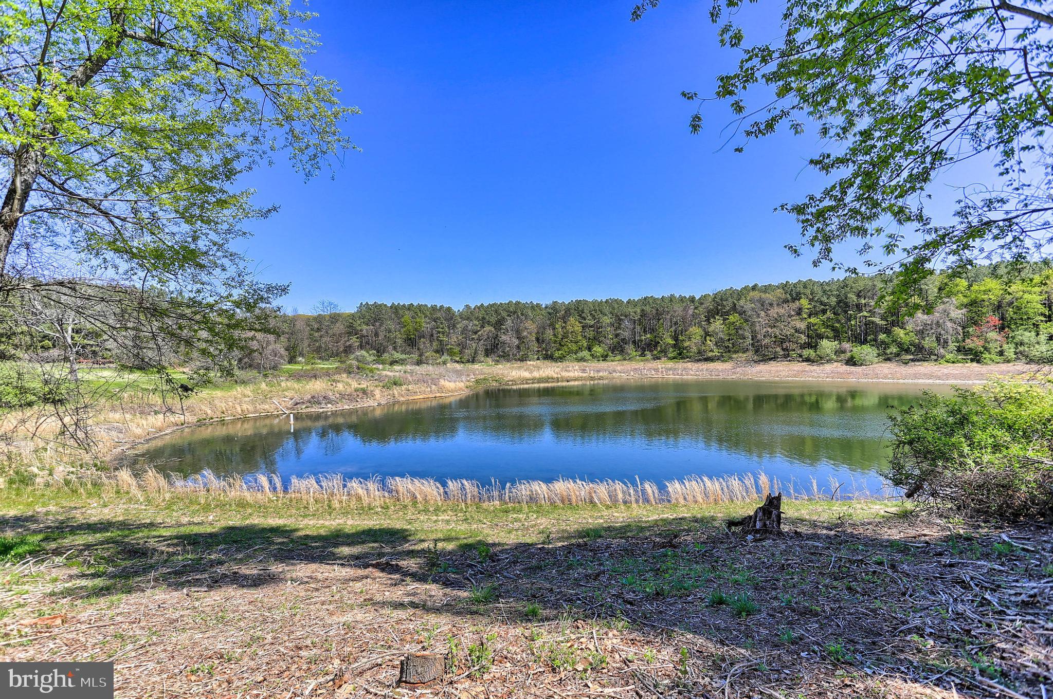 1340 Lake Road Spring Grove, PA 17362 - Photo 14 of 18