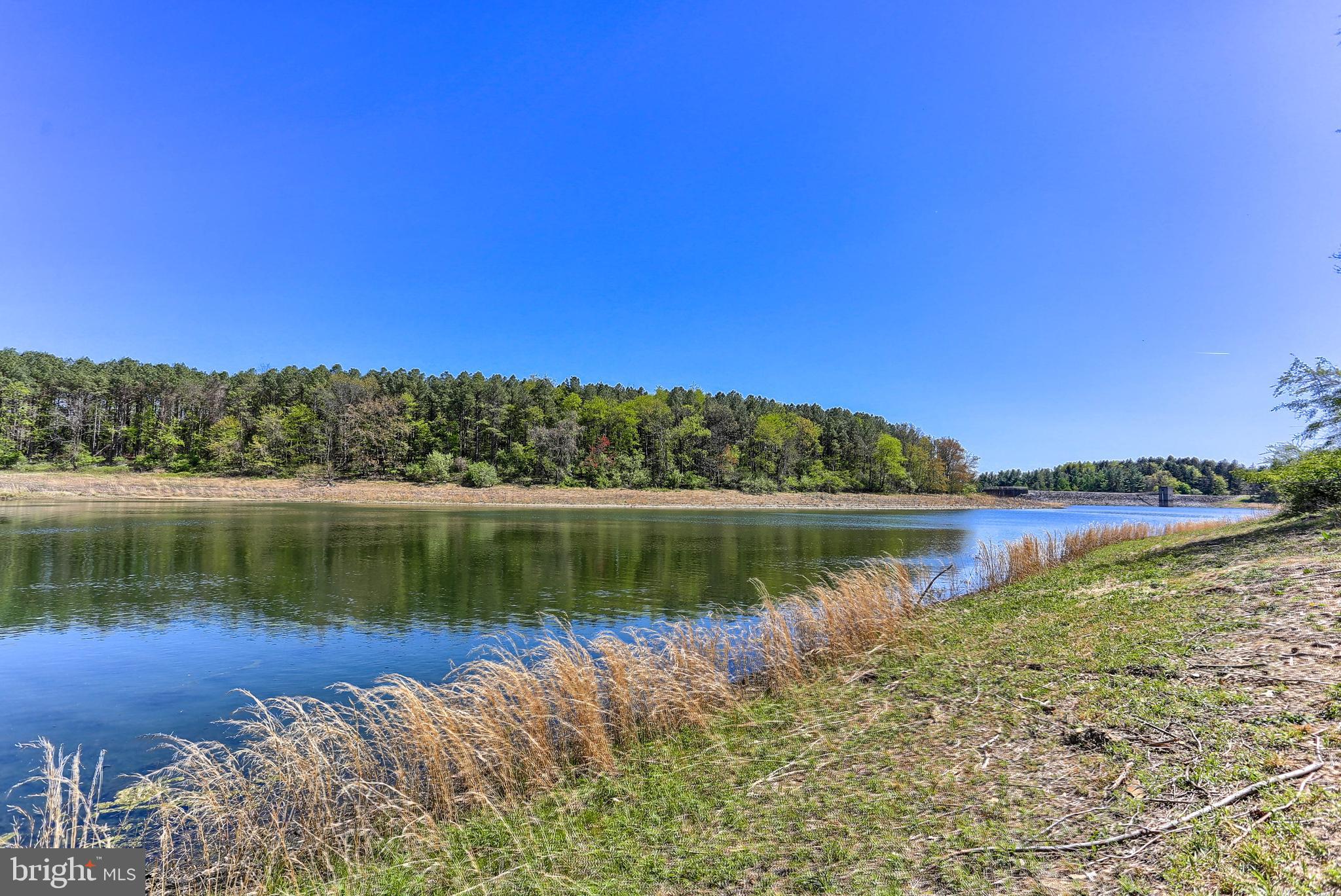 1340 Lake Road Spring Grove, PA 17362 - Photo 3 of 18