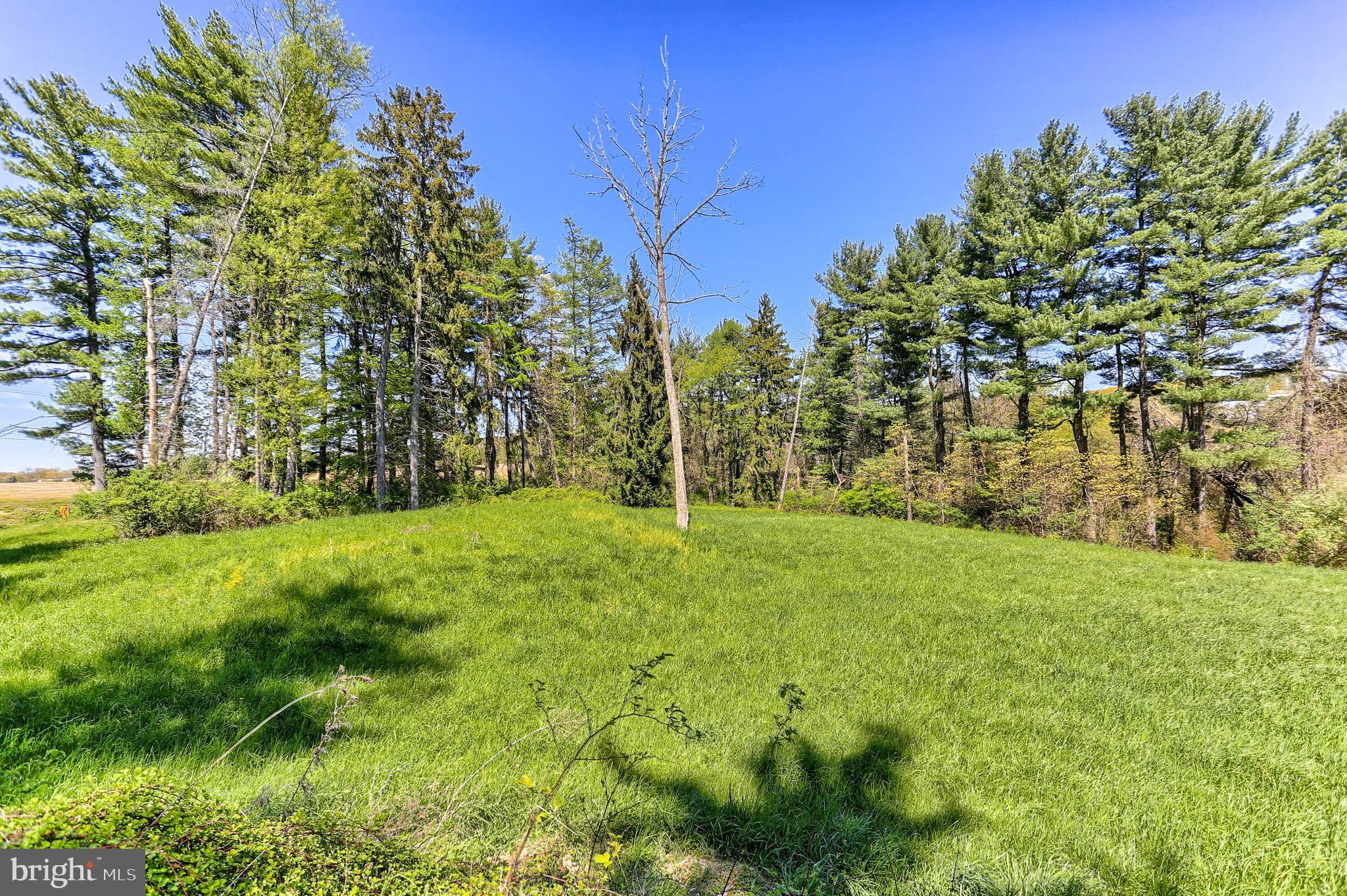 1340 Lake Road Spring Grove, PA 17362 - Photo 5 of 18