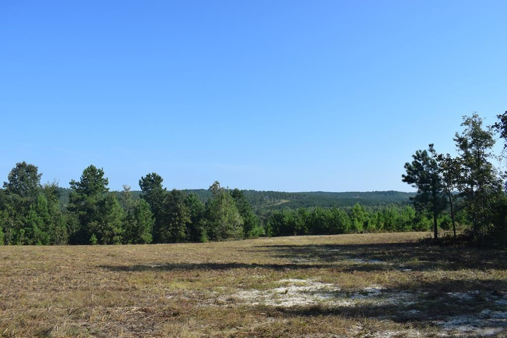 Lot 14 Riding Ridge Court Aiken, SC 29801 - Photo 6 of 7