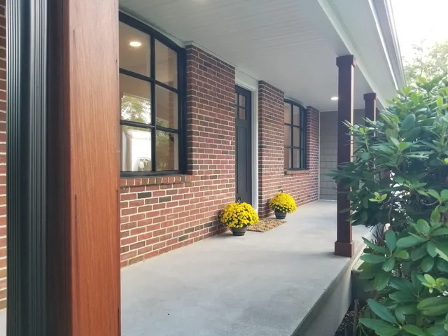 a potted plant sitting in front of a house