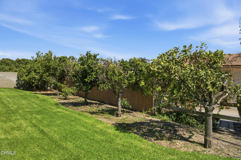 975 West Telegraph Road, Unit 26 Santa Paula, CA 93060 - Photo 40 of 52 Gallery Image 40
