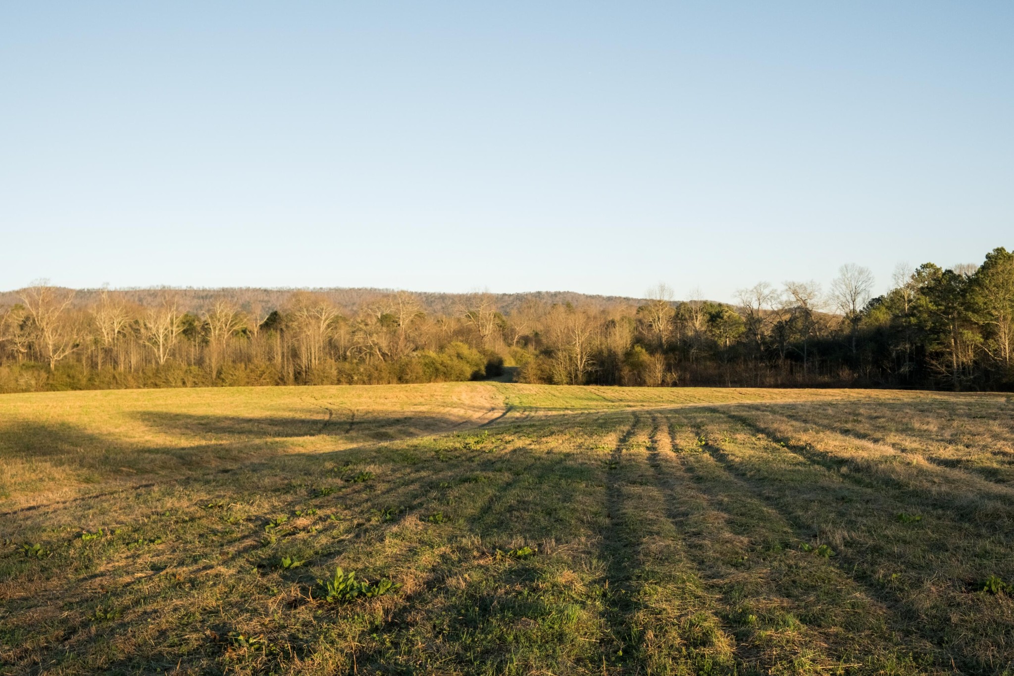 0 Floyd Springs Road Northeast Armuchee, GA 30105 - Photo 29 of 36 Gallery Image 29