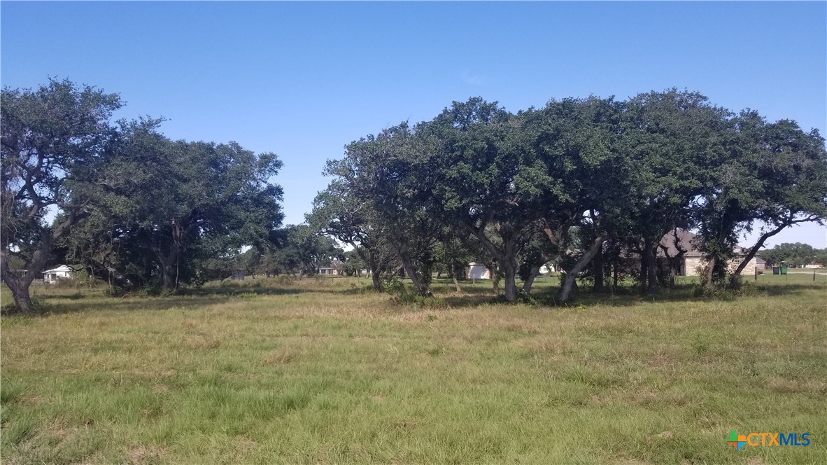 0 Enchanted Oaks Inez, TX 77968 - Photo 2 of 3 a view of outdoor space with green field and trees
