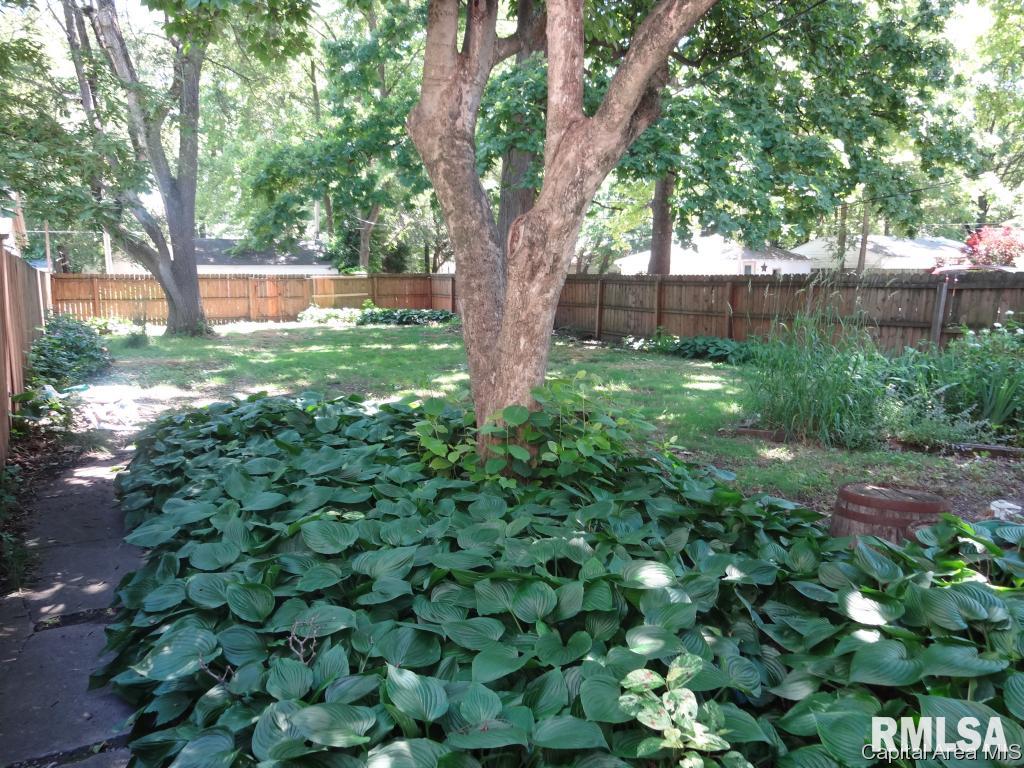 504 South Walnut Street Springfield, IL 62704 - Photo 25 of 29