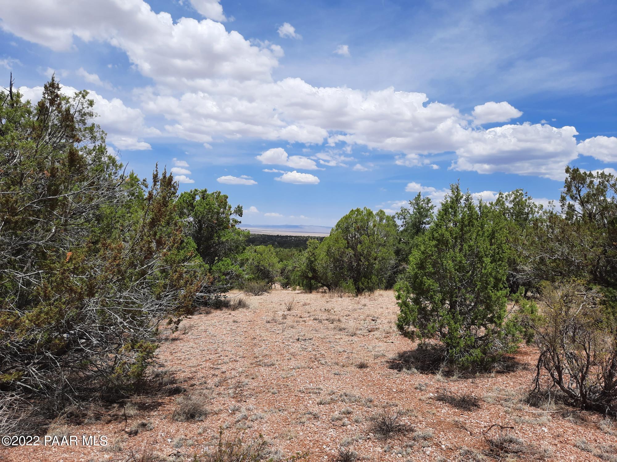 32169 El Gitano Road Seligman, AZ 86337 - Photo 1 of 9 cover