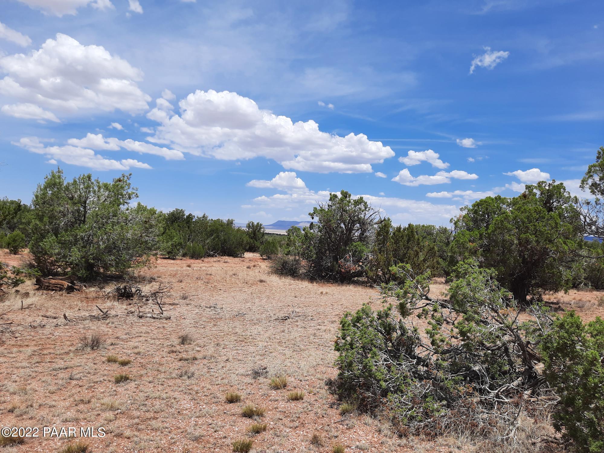 32169 El Gitano Road Seligman, AZ 86337 - Photo 4 of 9 20220721_120422