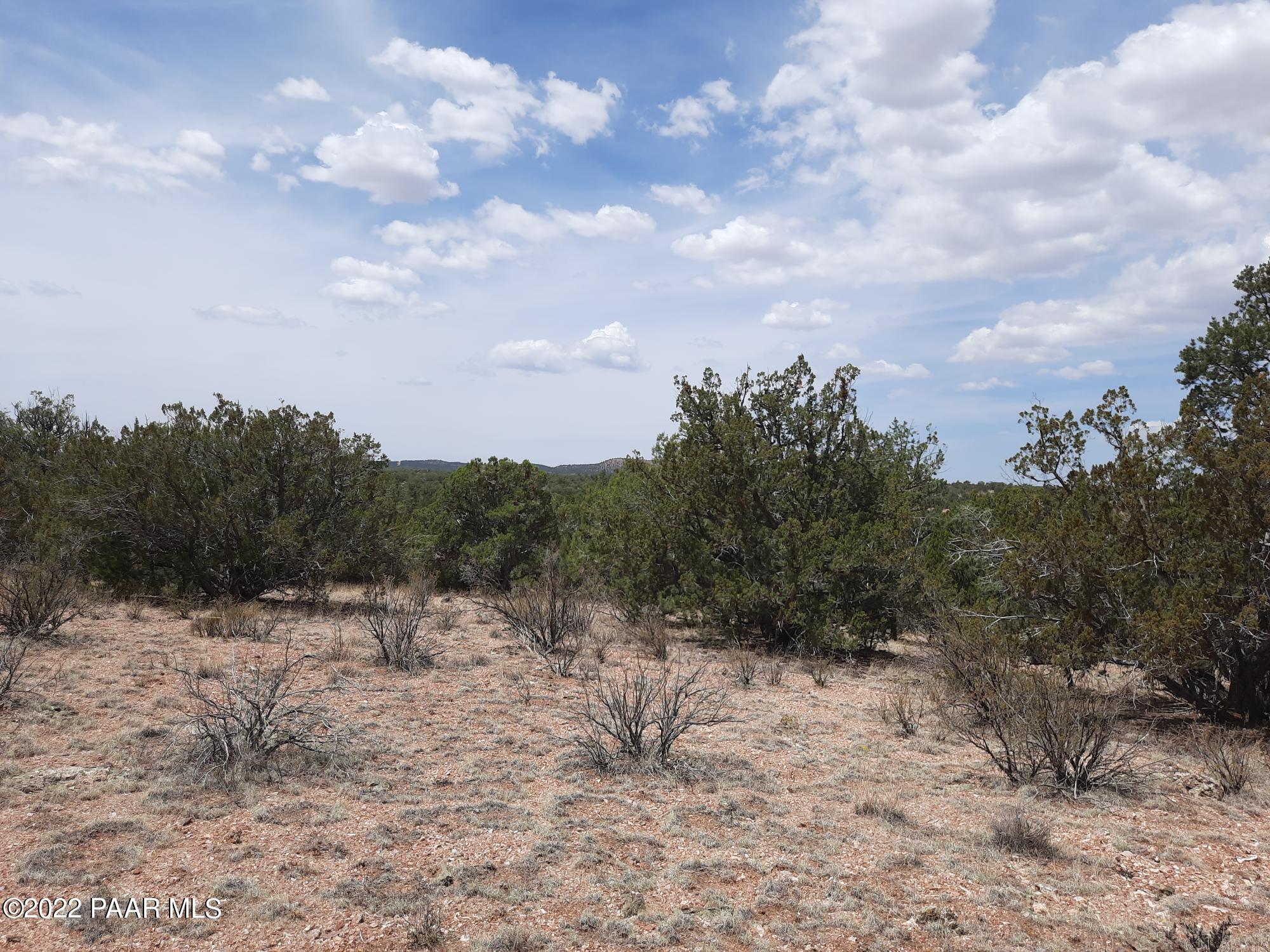 32169 El Gitano Road Seligman, AZ 86337 - Photo 8 of 9 20220721_120901
