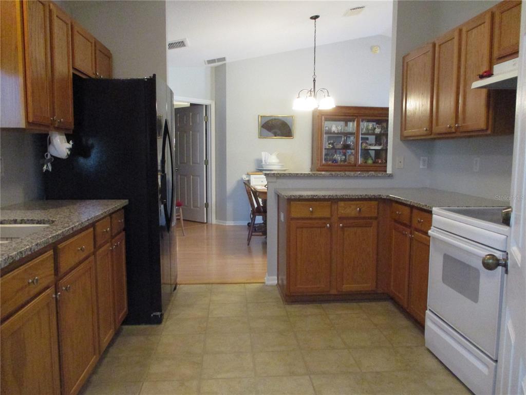 11579 Southwest 140th Loop Dunnellon, FL 34432 - Photo 3 of 71