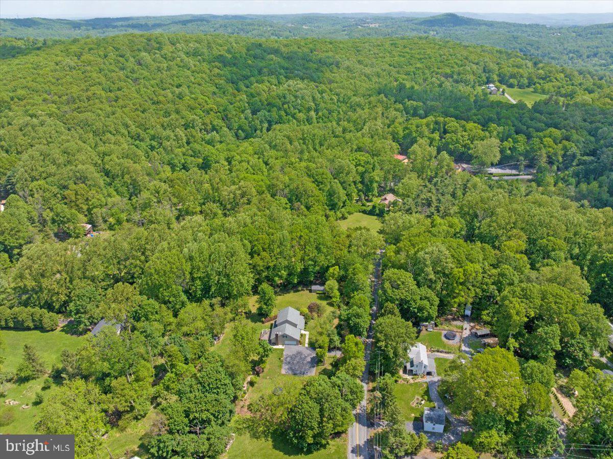 2581 Hill Road Reading, PA 19606 - Photo 51 of 53 a view of a big yard with plants and large trees