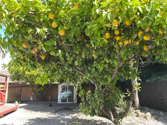 $770,000 | 566 Empire Street, San Lorenzo, CA 94580