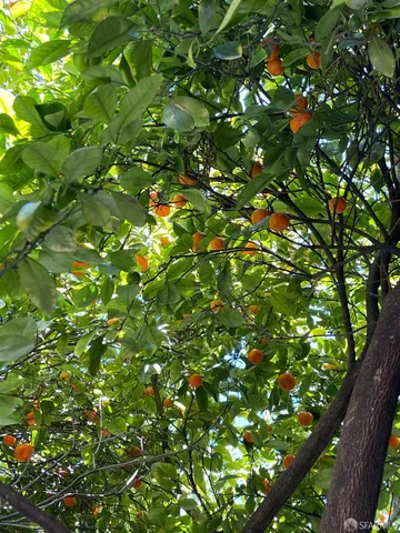 $770,000 | 566 Empire Street, San Lorenzo, CA 94580