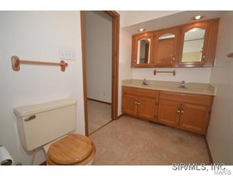 294 Eagle O'Fallon, IL 62269 - Photo 17 of 24 Gallery Image 17