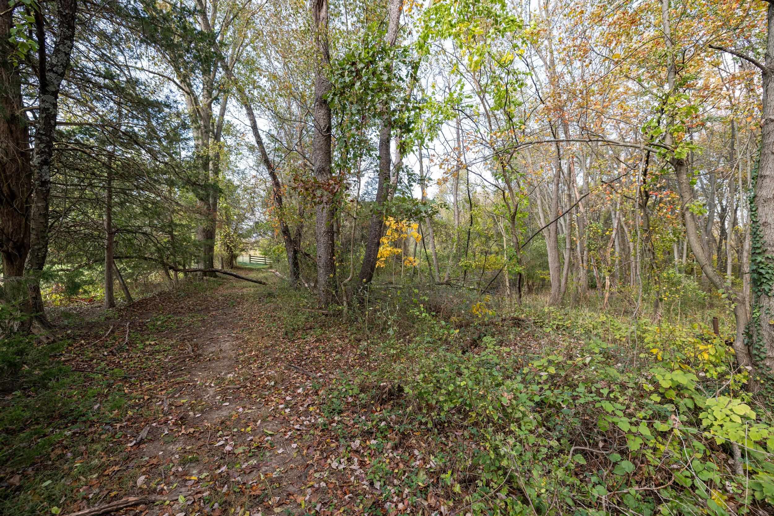 Off Dry Run Road Luray, VA 22835 - Photo 72 of 73 Gallery Image 72
