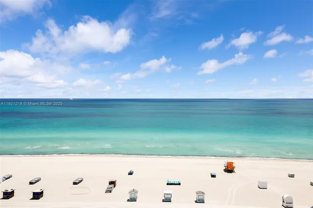 a view of a field with an ocean