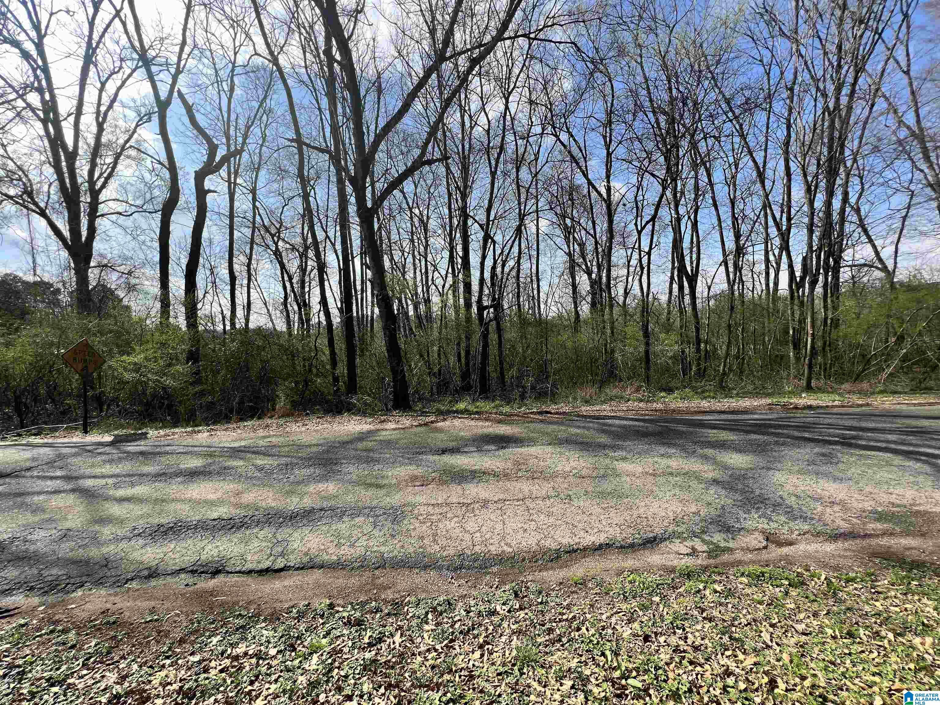 112 Robinson Street, Unit 95 ACRES Springville, AL 35146 - Photo 5 of 5
