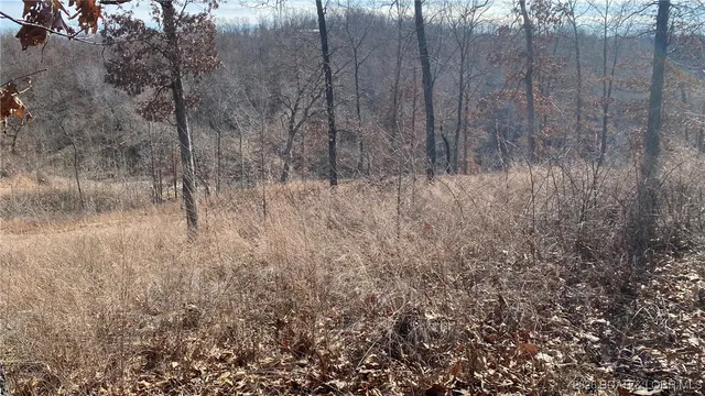 $79,950 | 19-lots In 19-lots In Hawk Lake, Sunrise Beach, MO 65079