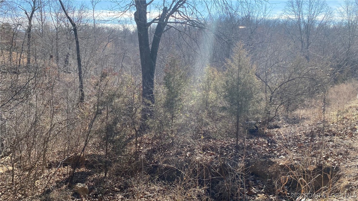 19-lots In 19-lots In Hawk Lake Sunrise Beach, MO 65079 - Photo 12 of 12