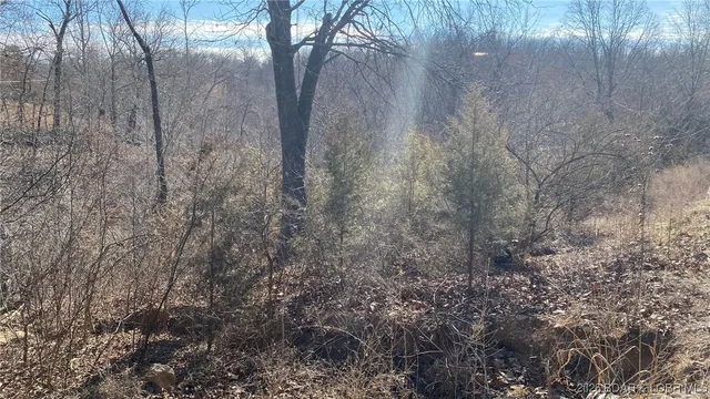 $79,950 | 19-lots In 19-lots In Hawk Lake, Sunrise Beach, MO 65079