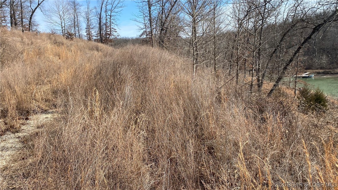 19-lots In 19-lots In Hawk Lake Sunrise Beach, MO 65079 - Photo 3 of 12