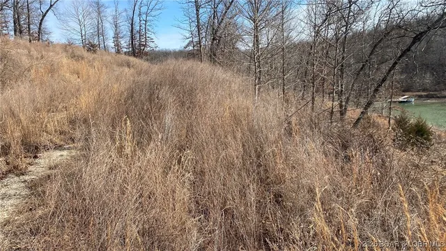 $79,950 | 19-lots In 19-lots In Hawk Lake, Sunrise Beach, MO 65079