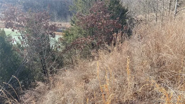 $79,950 | 19-lots In 19-lots In Hawk Lake, Sunrise Beach, MO 65079