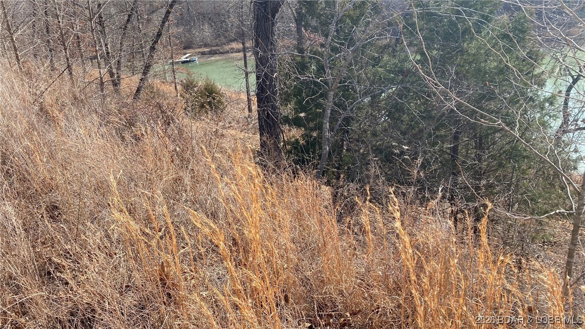 19-lots In 19-lots In Hawk Lake Sunrise Beach, MO 65079 - Photo 5 of 12