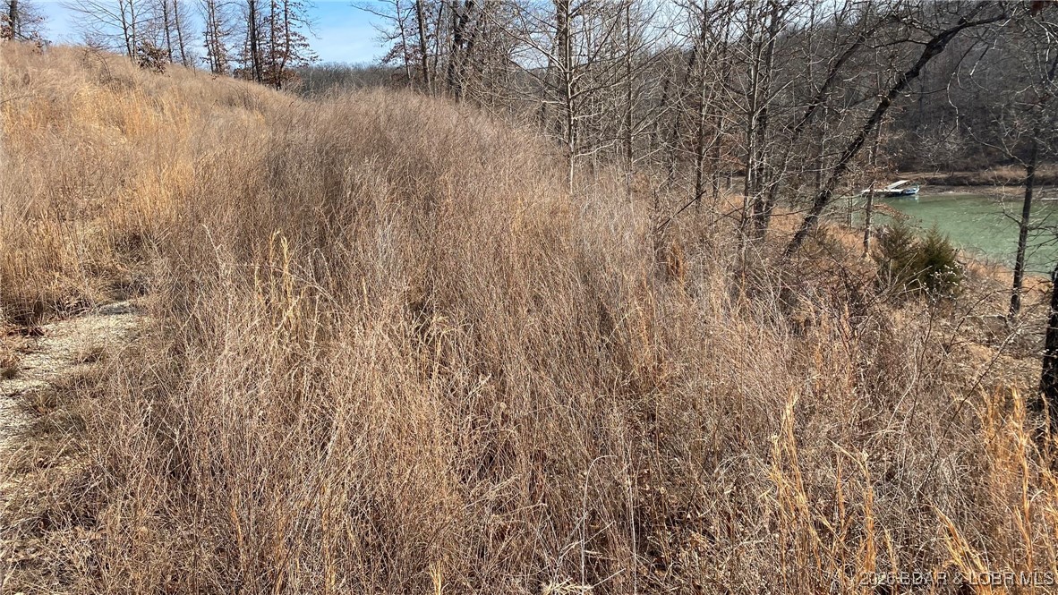 19-lots In 19-lots In Hawk Lake Sunrise Beach, MO 65079 - Photo 6 of 12