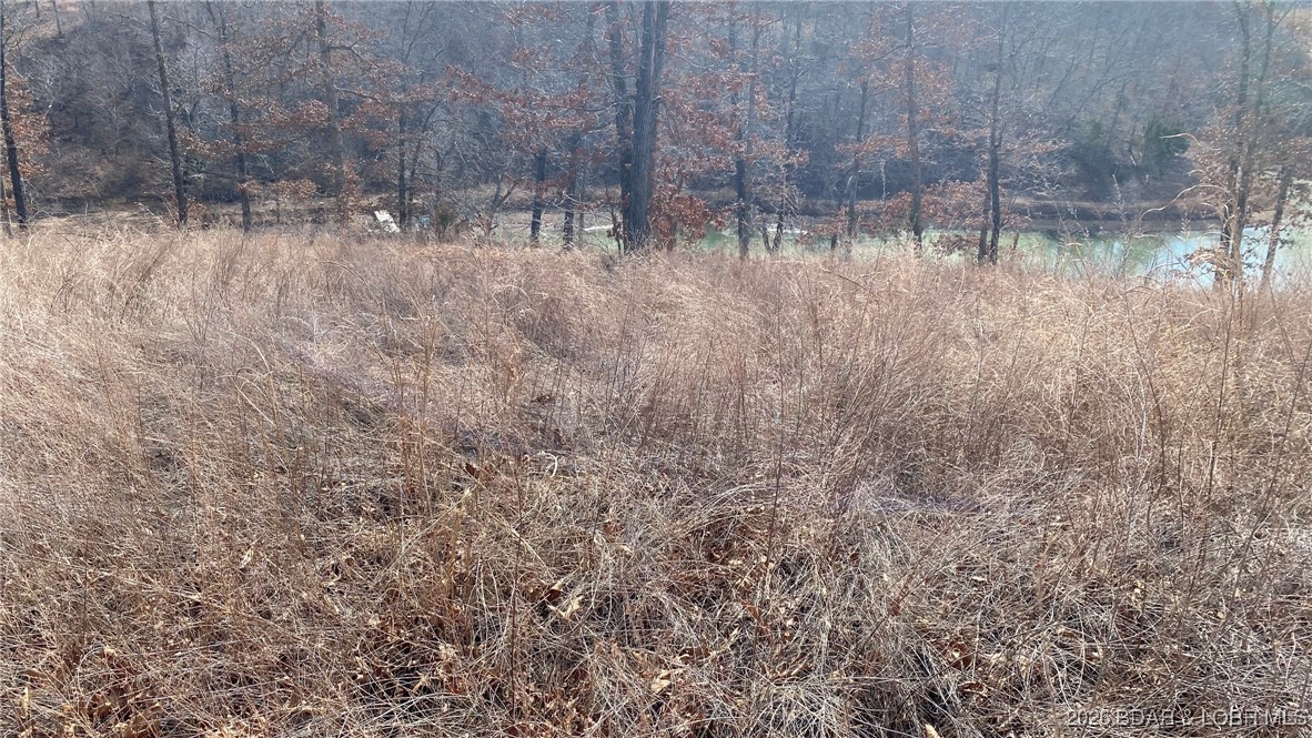 19-lots In 19-lots In Hawk Lake Sunrise Beach, MO 65079 - Photo 7 of 12