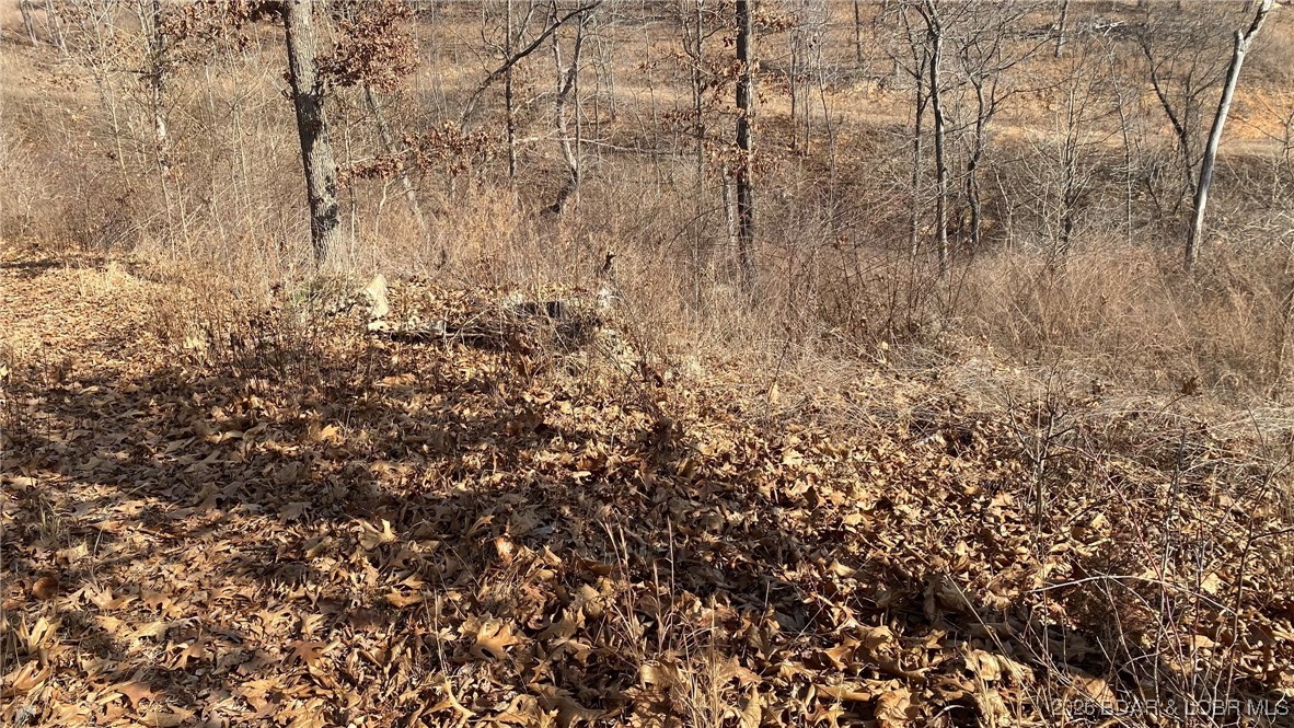 19-lots In 19-lots In Hawk Lake Sunrise Beach, MO 65079 - Photo 9 of 12