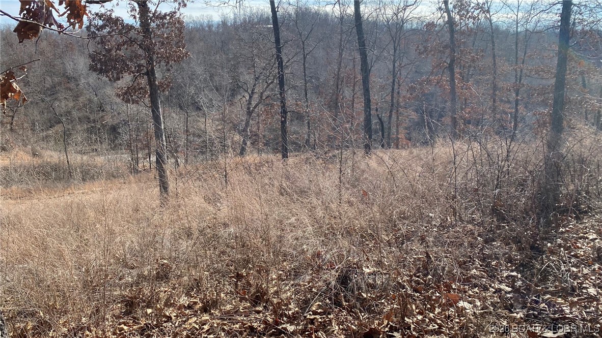 19-lots In 19-lots In Hawk Lake Sunrise Beach, MO 65079 - Photo 10 of 12